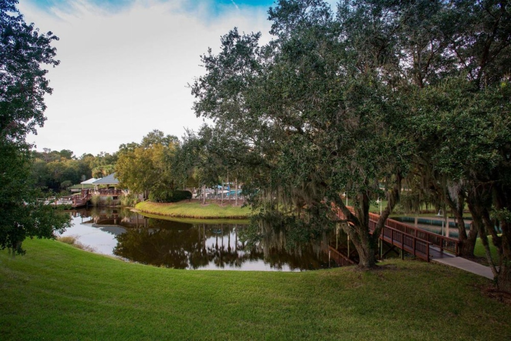 Sawgrass Marriott Golf Resort & Spa Image 6