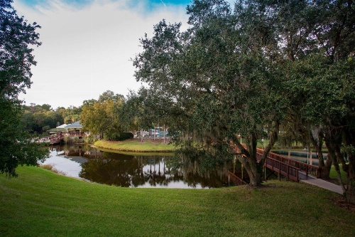 Sawgrass Marriott Golf Resort & Spa image 6