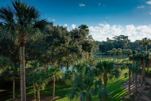 Sawgrass Marriott Golf Resort & Spa image 19